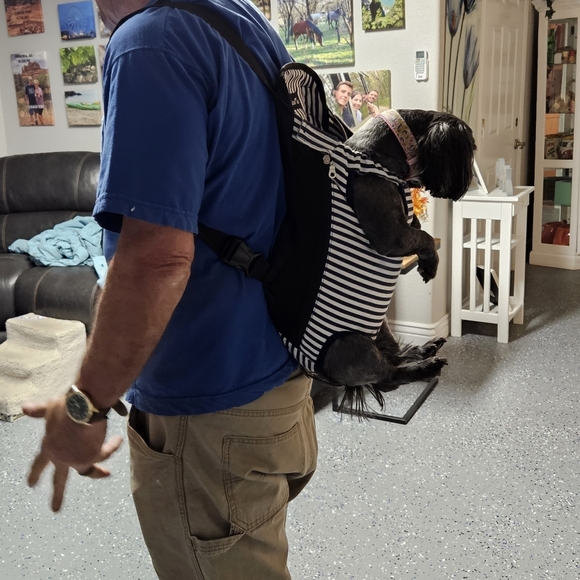 Legs Out Front or Back Dog Carrier Backback for Small Dogs - Picture 3 of 5